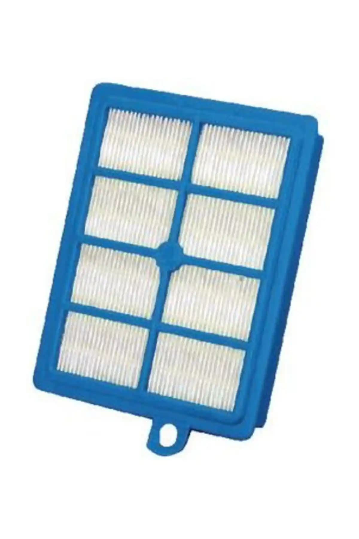 Electrolux Efs1w Allergy Plus HEPA 13 Filtreli Elektrikli Süpürge Özellikleri ve Kullanıcı Yorumları