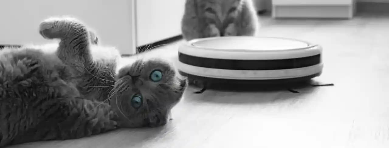 Evcil Hayvan Sahipleri İçin Robot Süpürge Seçiminde Uzun Vadeli Deneyimlerin Önemi ve Bakım Gereksinimleri