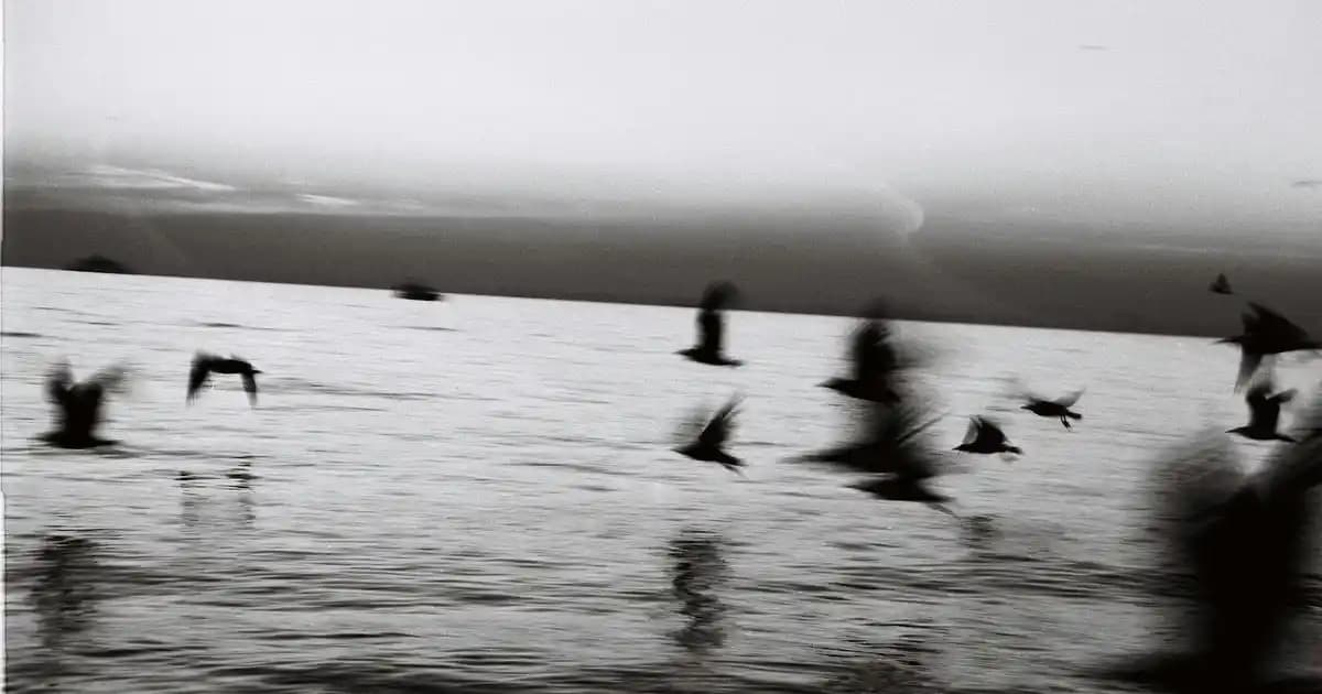 Uygun Laptop Seçimi Rehberi: Performans ve Bütçe Dengesini Sağlayan İpuçları