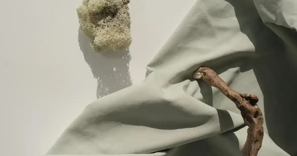 Parrales Vallejos Kooperatifi Yönetim Değişikliği ve Güvenlik Sorunları Üzerine Güncel Değerlendirme