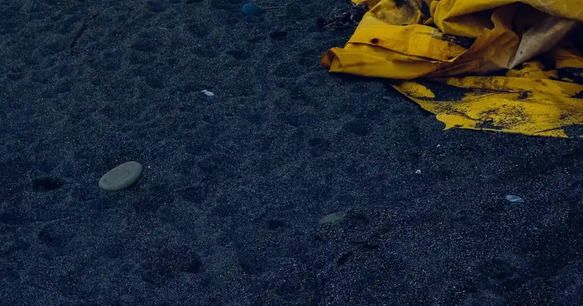 Tecno 20 Pro Camon ve Instagram Kullanımının Sosyal Medya Deneyimine Etkisi Üzerine İnceleme