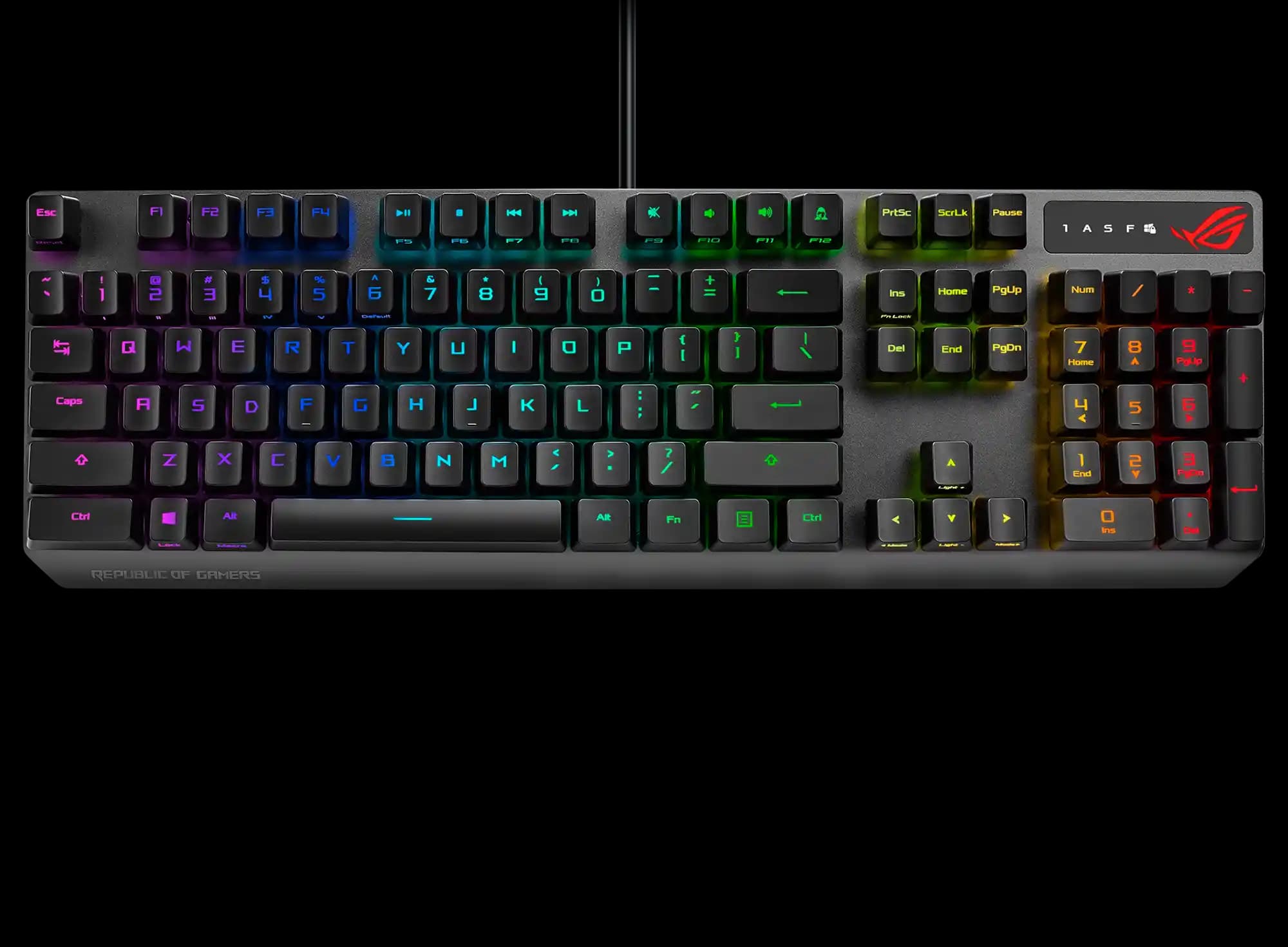 Winged Canvas: Dijital Sanat ve Çevrimiçi Sanat Eğitiminin Öncü Platformu