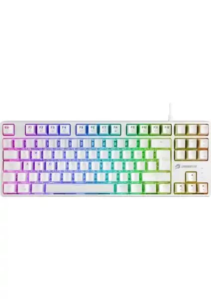 GameBooster G23W Enigma TKL Rainbow ile Havit KB884L RGB Karşılaştırması: Özellikler