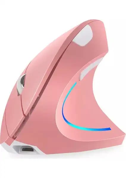 Cloody Dikey Ergonomik ve Everest SM-BT21 Kablosuz Mouse Karşılaştırması 1