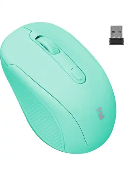 Everest Sm-18 ve Everest SM-300 Kablosuz Mouse Karşılaştırması ve Seçim Rehberi 2