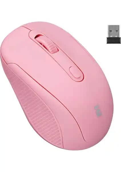 Everest SM-300 ve SM-861 Kablosuz Mouse Karşılaştırması: Ergonomi ve Performans Analizi