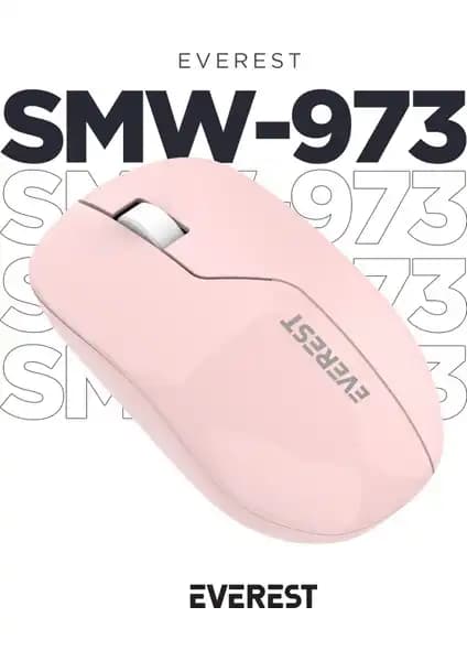 Everest SMW-973 ve Logitech M220 Kablosuz Mouse Karşılaştırması 1