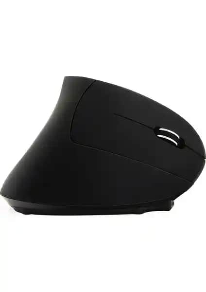 Kablo Olmayan Ergonomik ve Standart Mouse Karşılaştırması Analizi