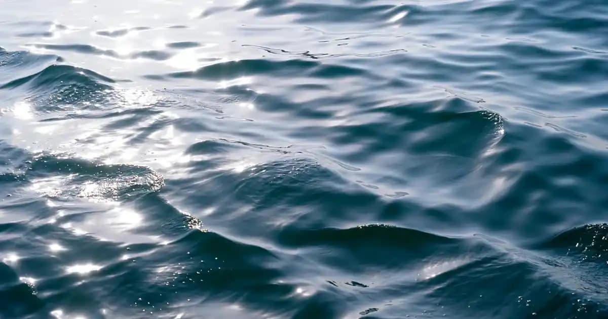 2025'te Telefonunuzla Profesyonel Fotoğrafçılığın 5 Sırrı