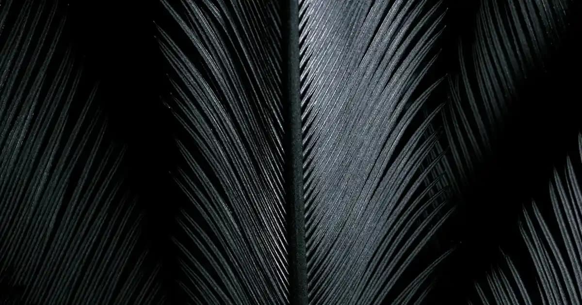 Apple Yedek Telefon Politikası ve Garanti Kapsamında Sunulan Hizmetler