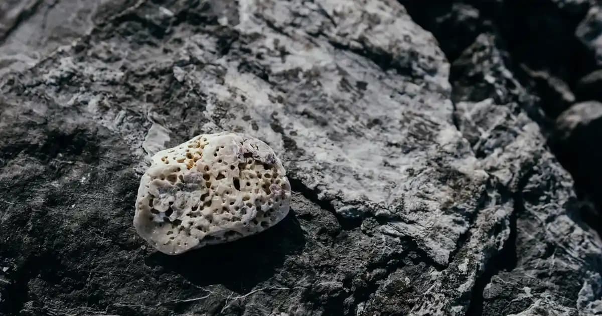 Arçelik Mutfak Robotları: Çok Fonksiyonlu ve Güçlü Modellerle Mutfakta Verimlilik Artışı