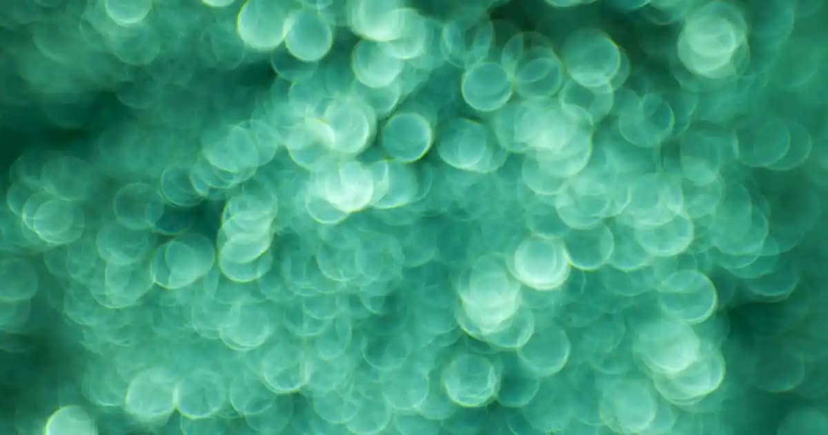 Ekran Büyütme Tuşları ve İşlevleri: Kullanım İpuçları ve Faydaları