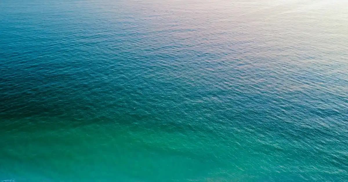 Geniş Açılı Kamera Uygulaması ve Kullanım İpuçları ile Fotoğrafçılıkta Yeni Boyut