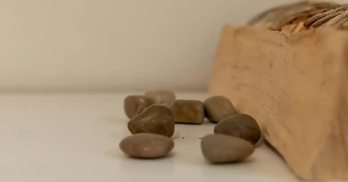 Instagram Ekran Paylaşımı ve Tam Ekran Kullanım Teknikleri Rehberi