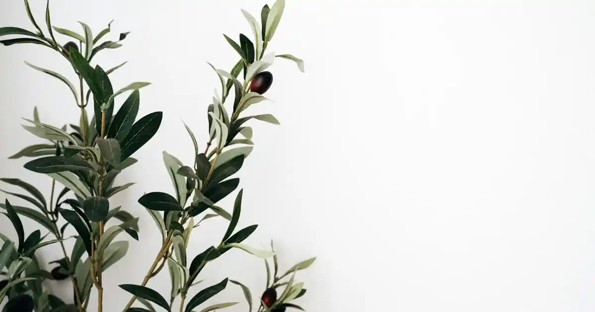 iPhone 7 için Adım Adım Ekran Kaydı Rehberi ve İpuçları