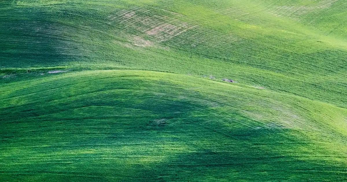 iPhone’dan Bilgisayara Fotoğraf Aktarma Yöntemleri ve En İyi Uygulamalar