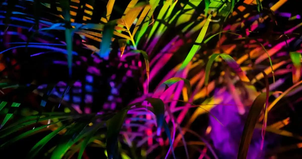 PUBG Lite Sistem Gereksinimleri ve Oyun Performansını Artırma Yöntemleri