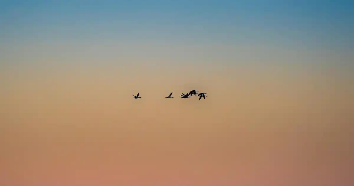 PUBG’nin çıkış tarihi ve elektronik sektörüne etkileri üzerine kapsamlı analiz