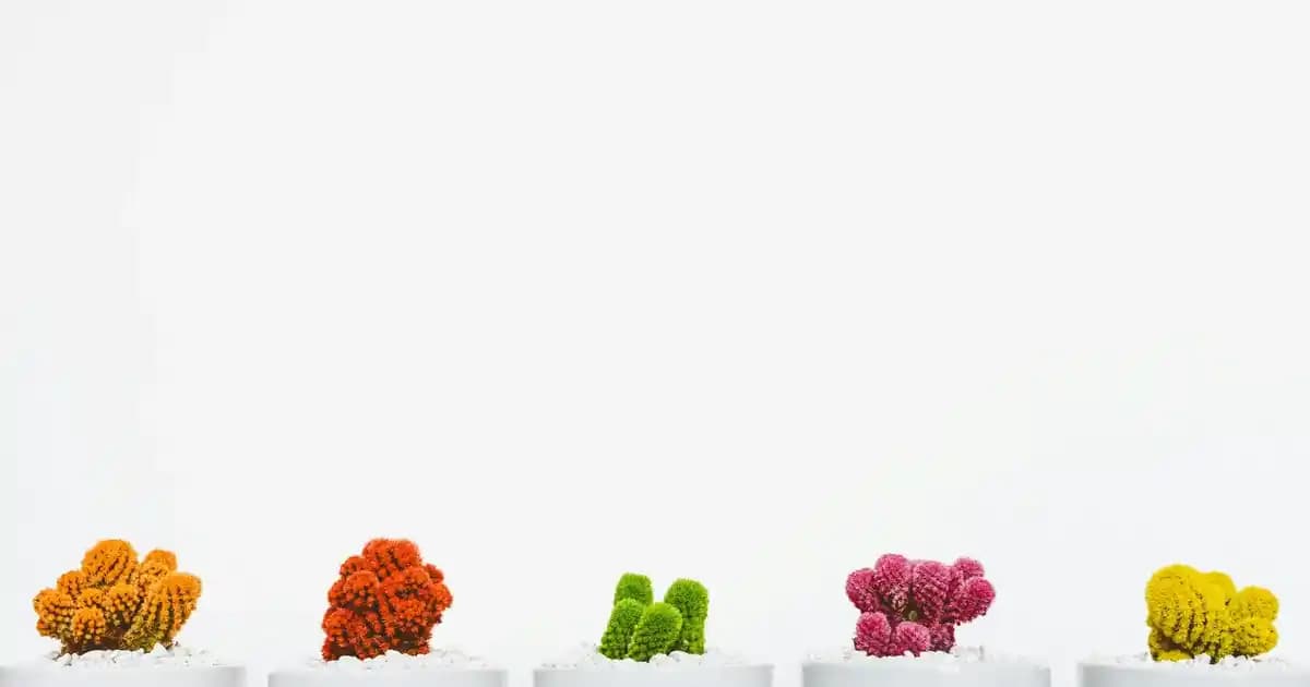 Redmi Note 12 Pro 5G ile 2025'te Şarj Endişesine Son Vereceksiniz