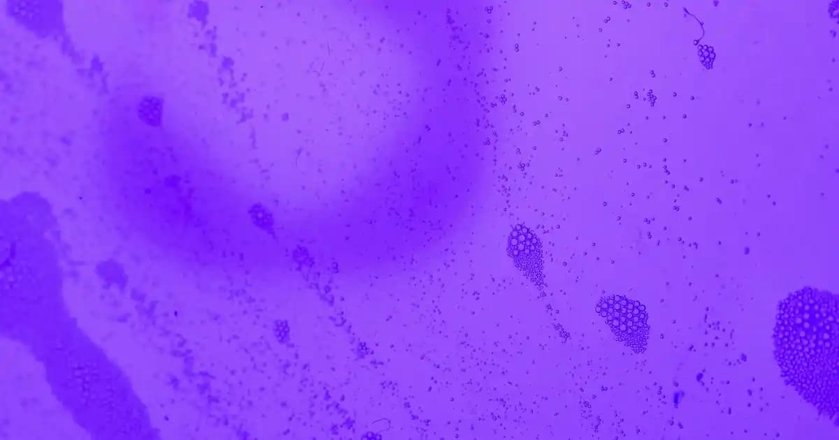 2025'te Türk Telekom Engellerini Aşmanın 3 Pratik Yolu ile İnternet Özgürlüğünüz