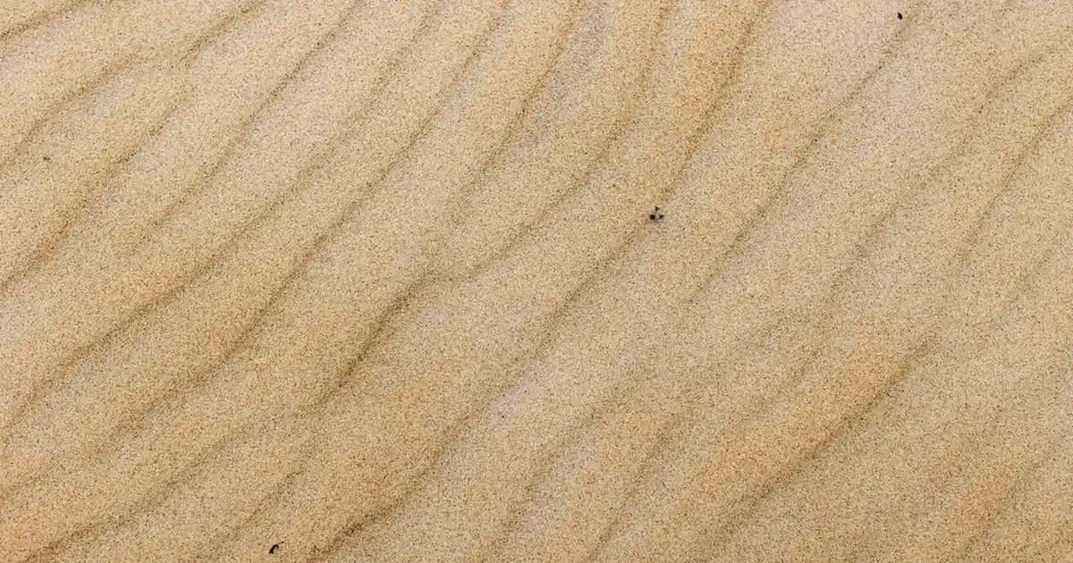 WhatsApp Durum Ekran Görüntüsü Alınca Bildirim Gidiyor Mu Güncel Durum ve Gizlilik Bilgileri