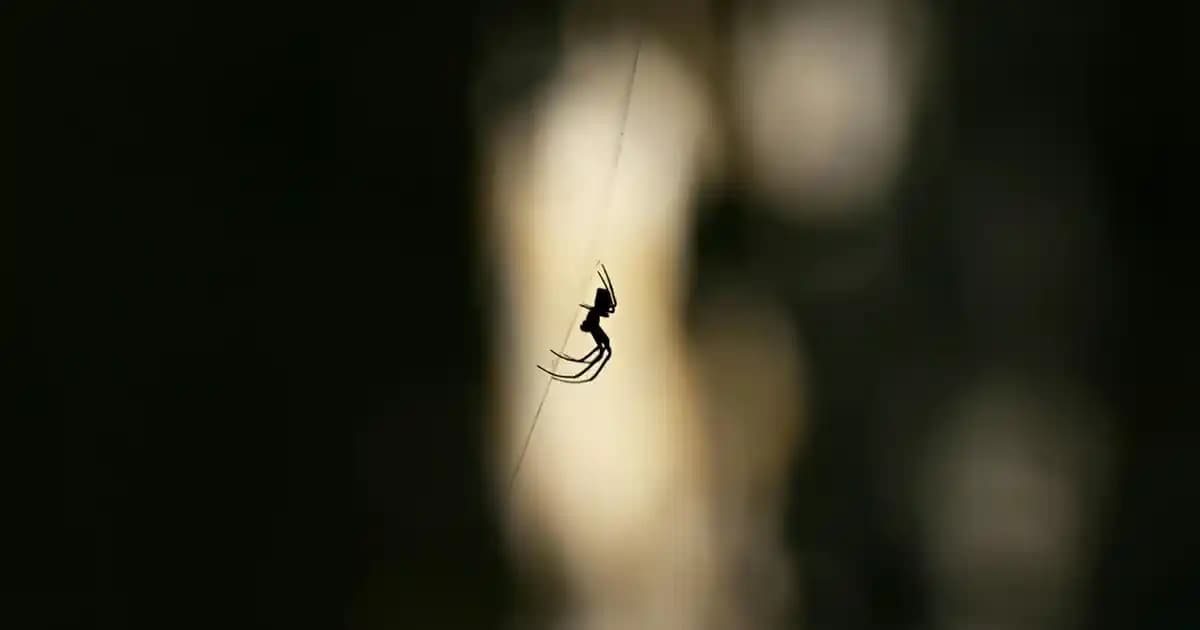 Yeşil Ekran Teknolojisinin Temel Prensipleri ve Kullanım Alanları