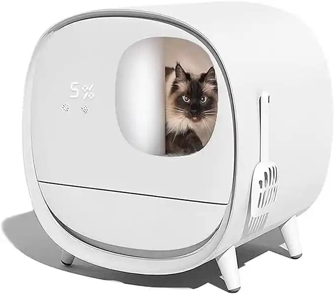 300 Dolar Altı Hava Temizleyicilerin Koku Giderimindeki Etkinliği ve Sınırlamaları