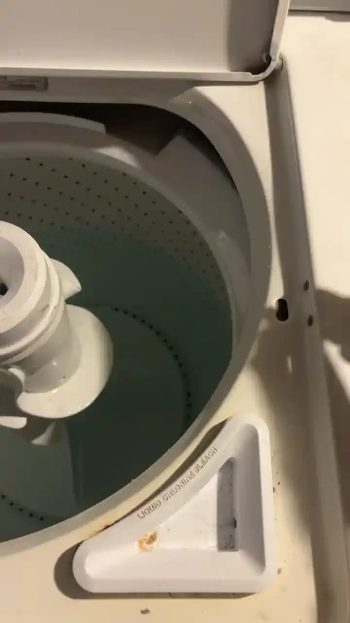 Whirlpool Çamaşır Makinesinde Motor Kavrama Değişimi Sonrası Dönme ve Tıklama Sorunlarının Nedenleri ve Çözümleri