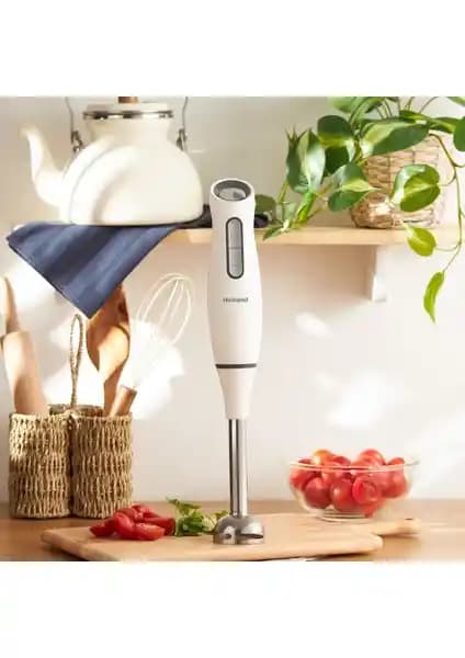 Homend Handmaid 1937H ve Schafer Chef Pro Blender Karşılaştırması: Özellikler ve Performans