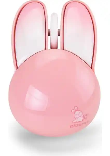 İki Popüler Kablosuz Fare Modelinin Detaylı Karşılaştırması ve Kullanıcı Yorumları