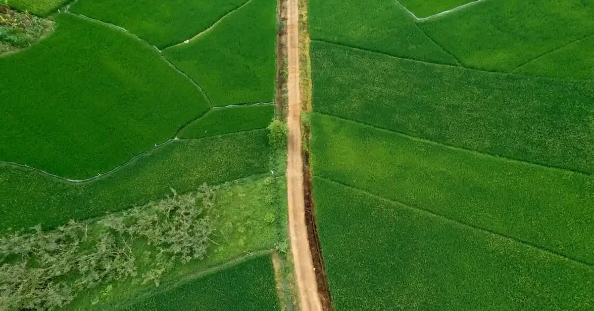 AirPods 2. Nesil İçin Silikon Koruyucu Kılıf: Koruma ve Estetiğin Buluşması