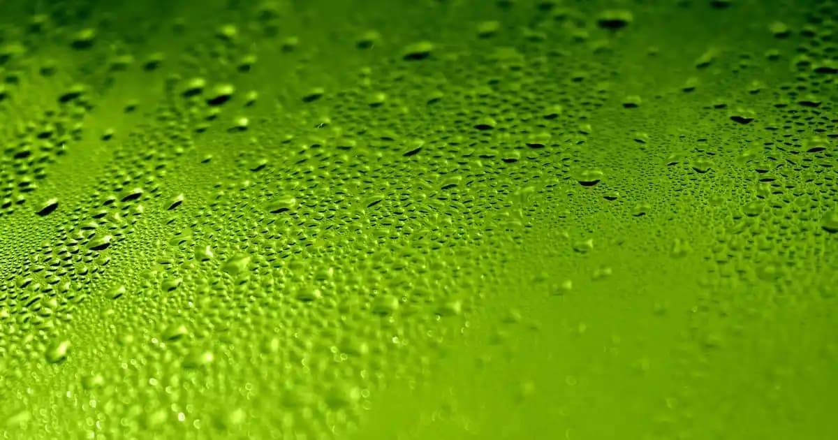 Akıllı Telefonların Tarihçesi ve Teknolojik Evrimi Üzerine Detaylı Bir İnceleme