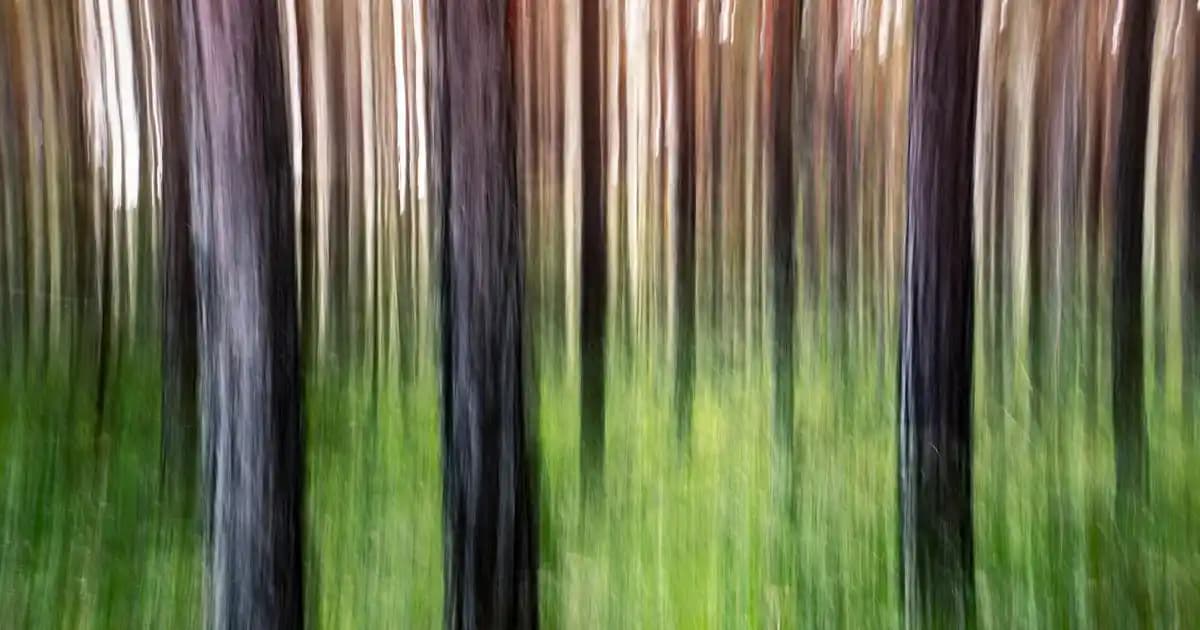 ANC Kulaklık Özellikleri ve Karşılaştırması: Gürültü Engelleme Teknolojisi ve Kullanıcı Tercihleri