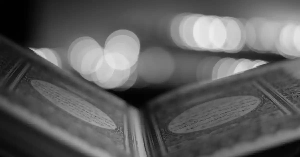 B412DN Lazer Yazıcı: Yüksek Hız ve Dayanıklılık Sunan Ofis Çözümü