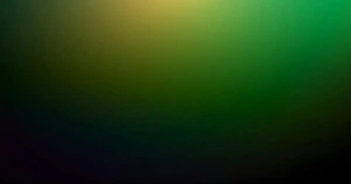 Brother DR3355 Drum Ünitesi Seçimi ve Muadil Alternatifler Hakkında Bilgilendirici Rehber