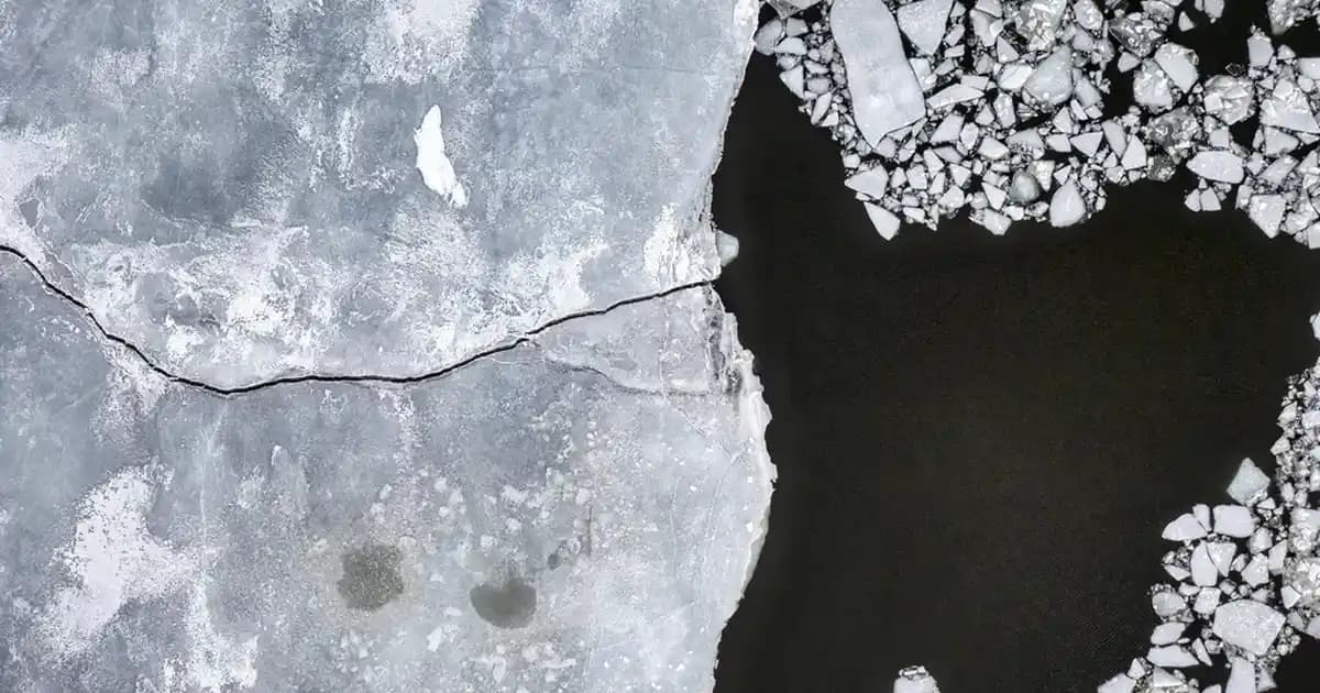 Çanak Anten Dijital Yayın Alıcısı: Modern Televizyon Deneyiminin Temel Unsuru ve Kullanım Alanları