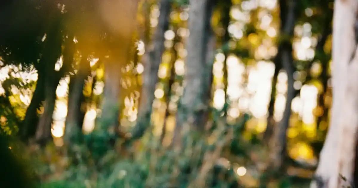 Claw S HDMI Kablo Özellikleri ve Karşılaştırması: Yüksek Kalite ve Dayanıklılık