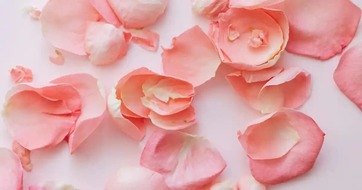 Cop İstasyonlu Akıllı Temizleyiciler: Temizlikte Yeni Dönem ve Teknolojik Avantajlar