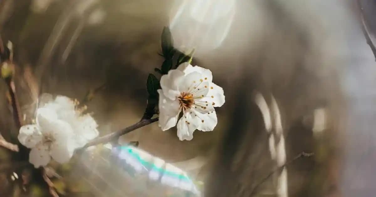 Dış Ortama Uygun ve Güçlendirilmiş Ethernet Kablo Seçimi Rehberi