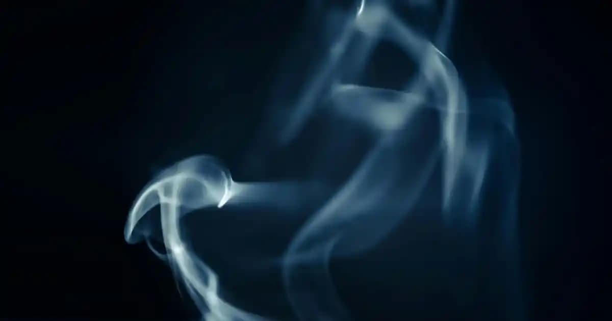 Dizüstü Bilgisayarların Mobilite ve Performans Özellikleri Analizi