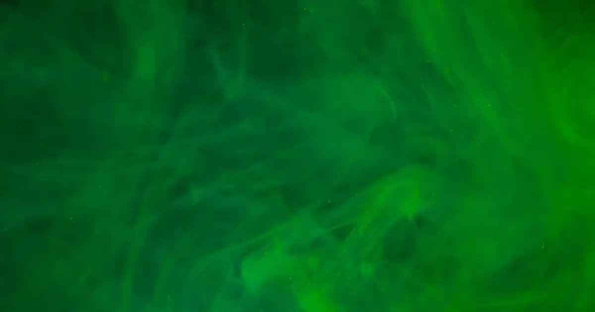 Dreame ve Roborock Robot Süpürge Modellerinin Fiyat ve Özellik Karşılaştırması