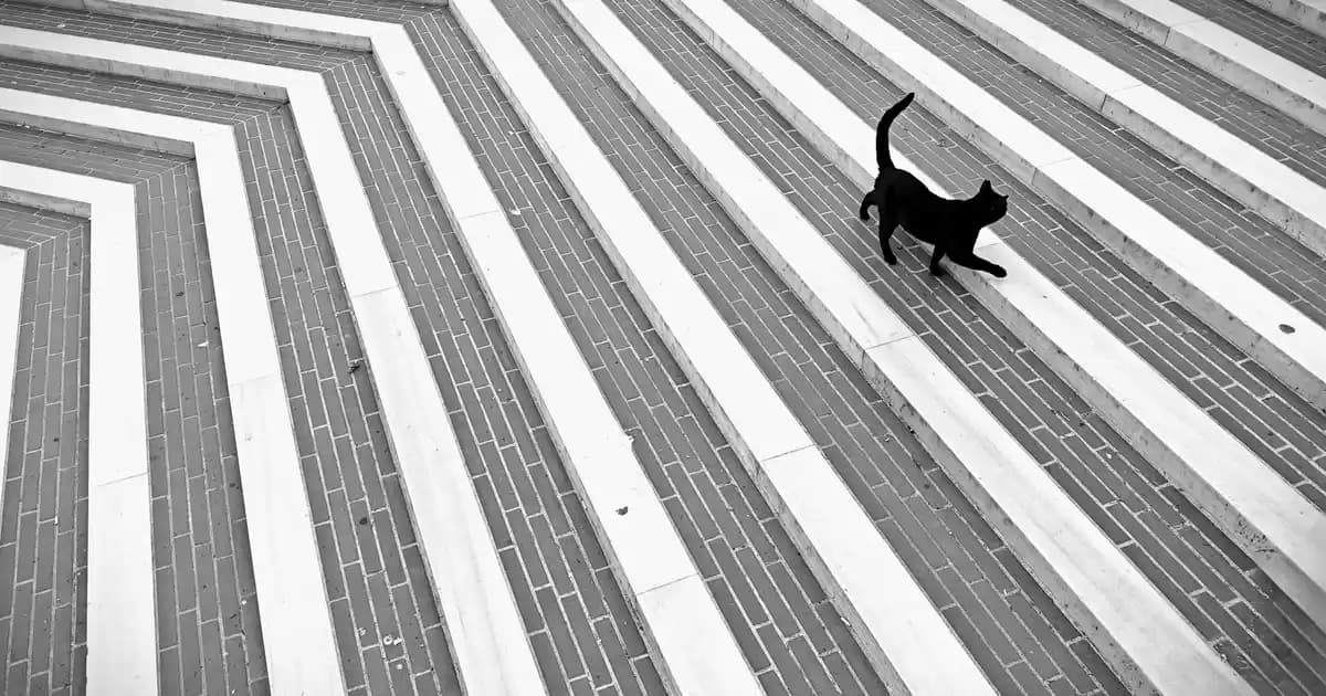 Dyson V15 Gen 5 Kablosuz Süpürge Teknolojileri ve Özellikleri Hakkında Güncel Bilgiler