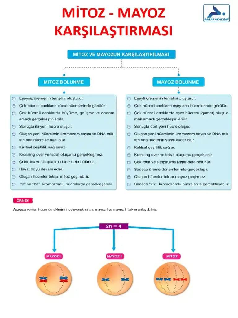 Elektrikli Süpürge Seçiminde Dikkat Edilmesi Gereken Temel Kriterler ve Teknolojik Özellikler