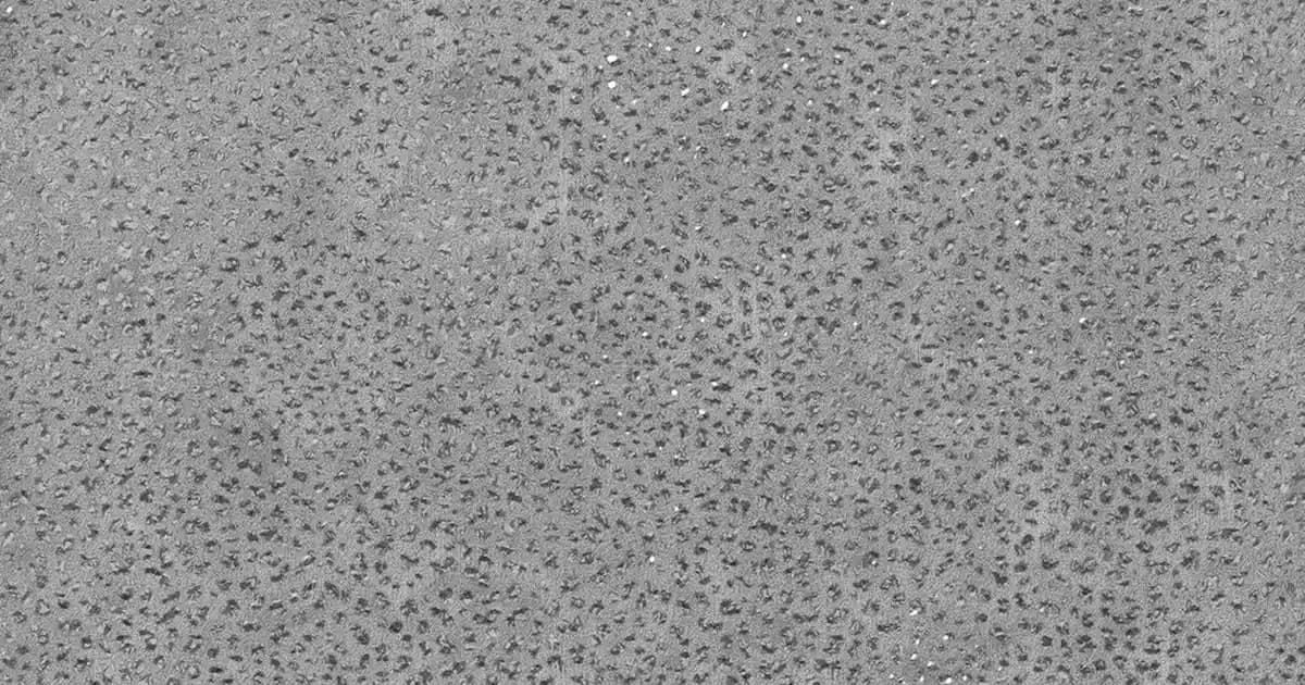 Endüstriyel Vakum Motorlarının Günümüzdeki Rolü ve Gelecekteki Gelişimi