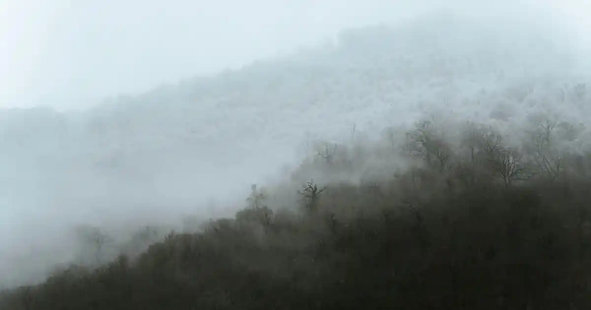 Enerji Tasarruflu Ev Klimalarının Performansı ve Verimlilik Analizi