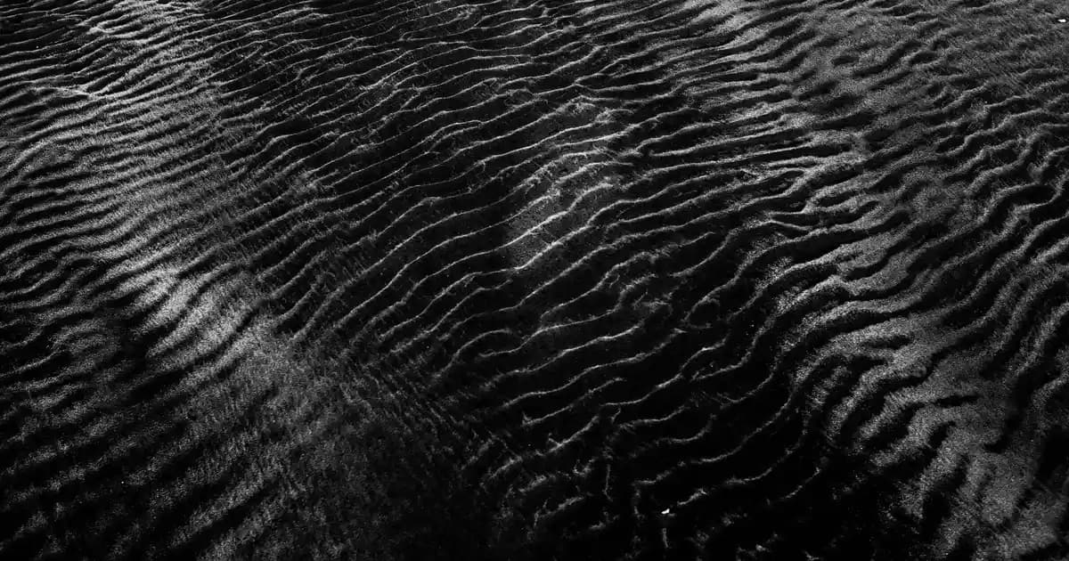 Evcil Hayvan Tüyleriyle Mücadelede Robot Süpürgelerin Etkili Kullanımı ve Özellikleri