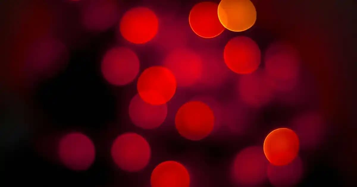 Grundig Buhar Jeneratörleri ve Piyasadaki Alternatif Ürünler Hakkında Kapsamlı Bilgi