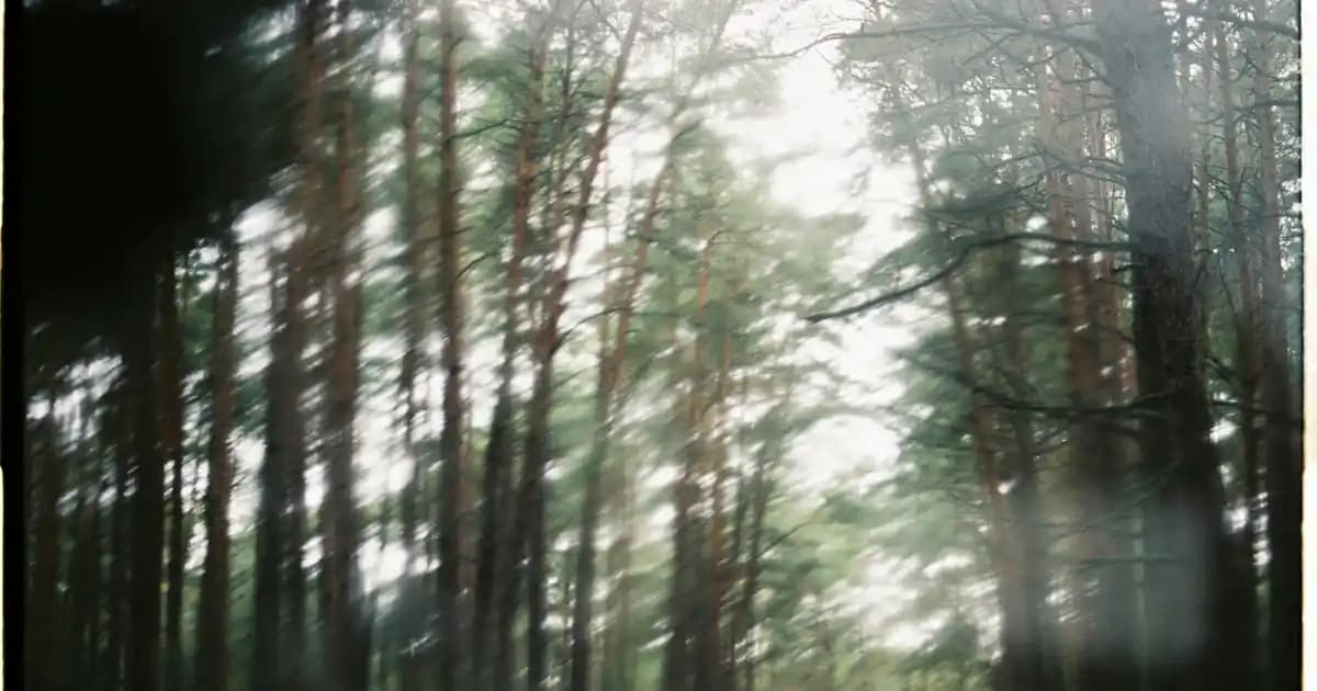 Honor Magic 7 Lite ve Samsung Akıllı Telefonlar: Teknik Özellikler ve Performans Karşılaştırması