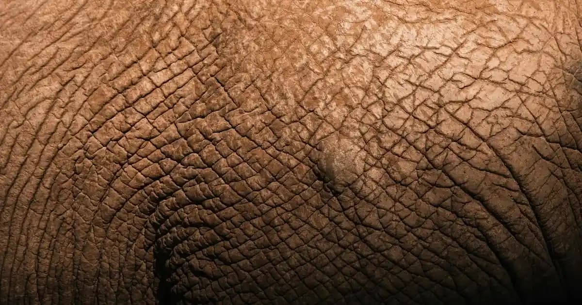 Huawei Fit 2 ve 4 Akıllı Saatleri Fiyat ve Özellik Karşılaştırması