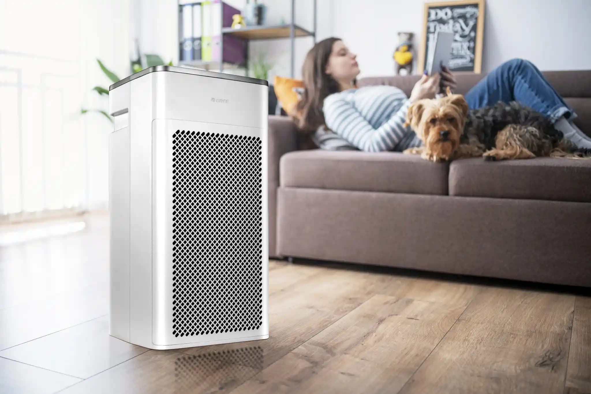 İç Mekan Hava Temizleyicileri: Teknolojiler ve Kullanım İpuçları